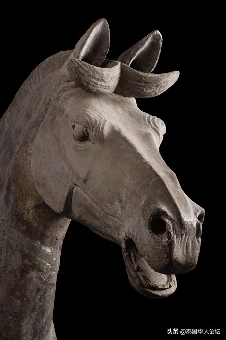 秦始皇陵兵马俑国外展出,秦始皇外籍兵马俑