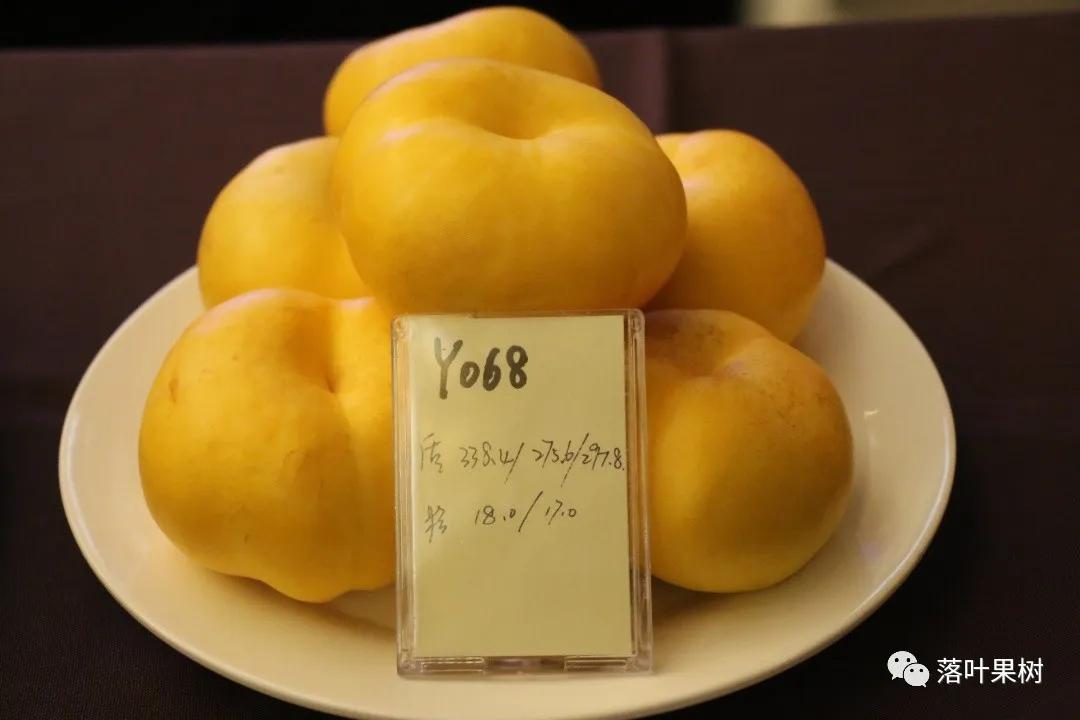 中国桃产业转型升级,桃产业转型升级的思考