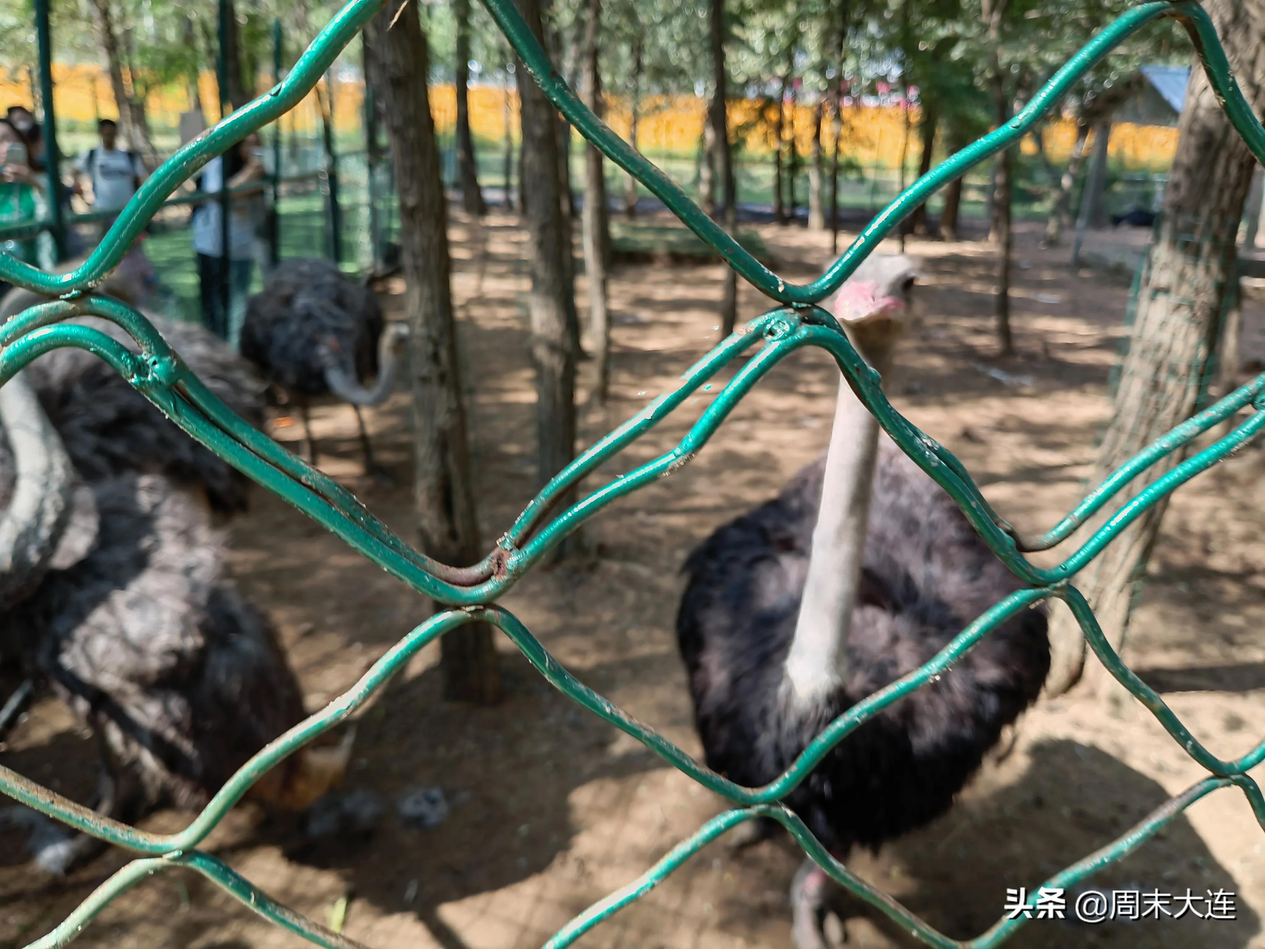 铭湖牧场是哪,铭湖牧场简介