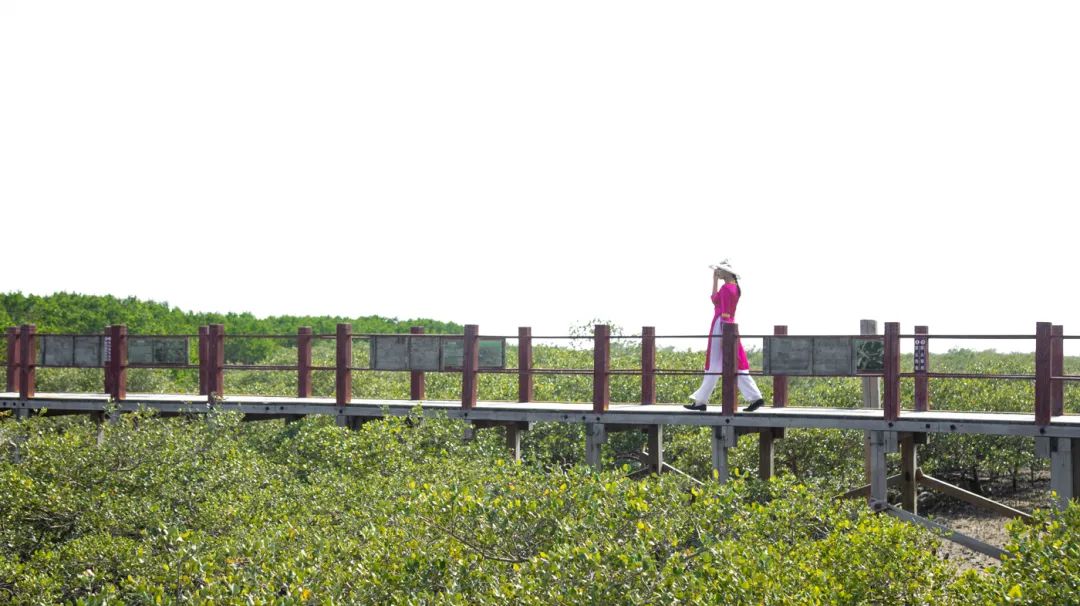 银海风景,银海美景