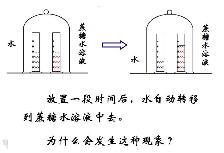 饱和蒸气压实验视频,饱和蒸气压温度对照表
