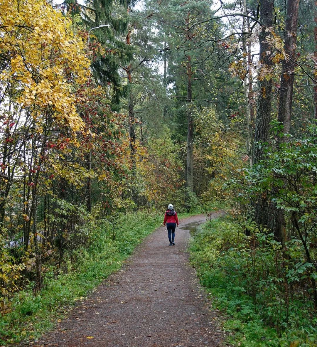 芬兰治疗乳腺癌,在德国治疗乳腺癌的优势
