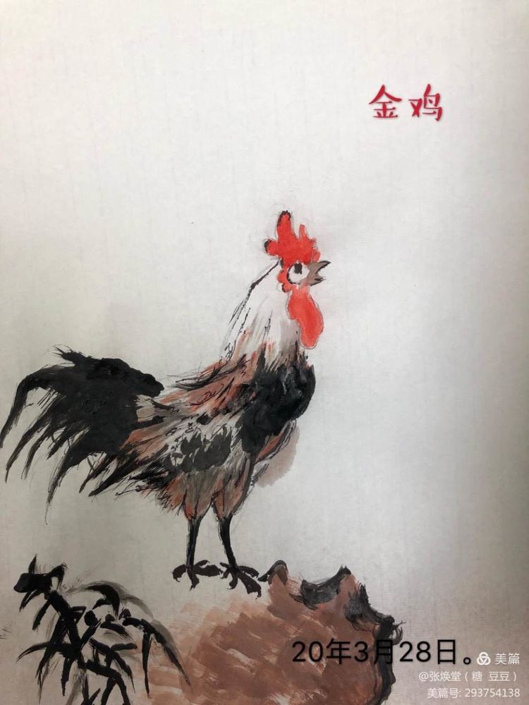 我和我的同桌,我和我的女同桌