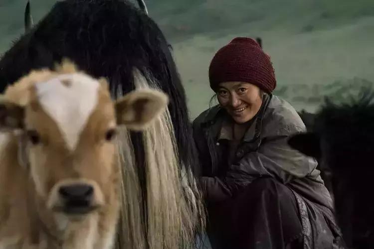 来自喜马拉雅的围巾,来自喜马拉雅的奢侈品