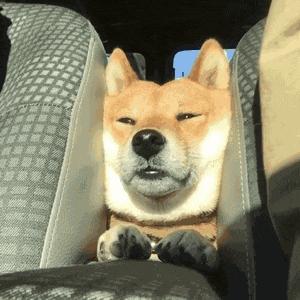 dior大促,dior买口红送手链