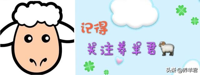 怎么选择优秀的奶山羊,萨能奶山羊特征