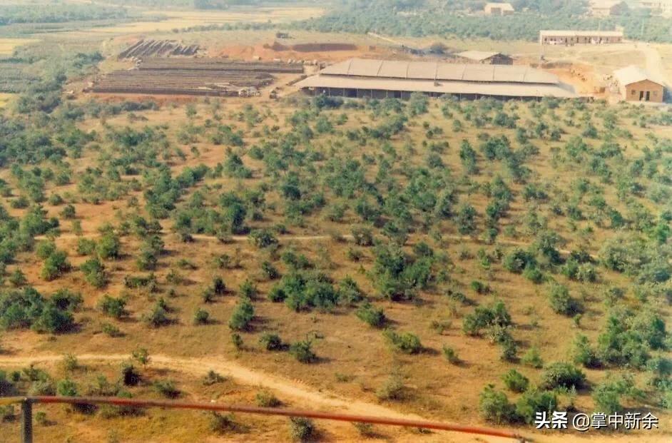 一起见证一所学校的成长,一起见证你的成长视频