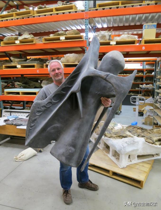 所有蜥脚类恐龙大小对比,各种蜥脚类恐龙大小体型比较