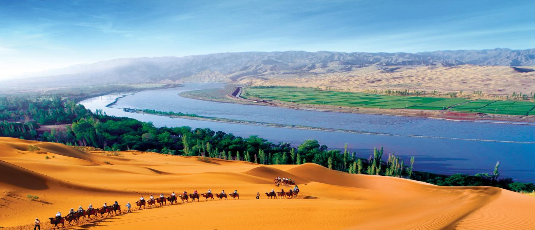 “塞上硒谷”携特色农产品进驻北京，助力京城健康生活