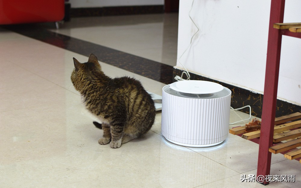 小米智能猫咪饮水机,小米猫咪恒温加热饮水机