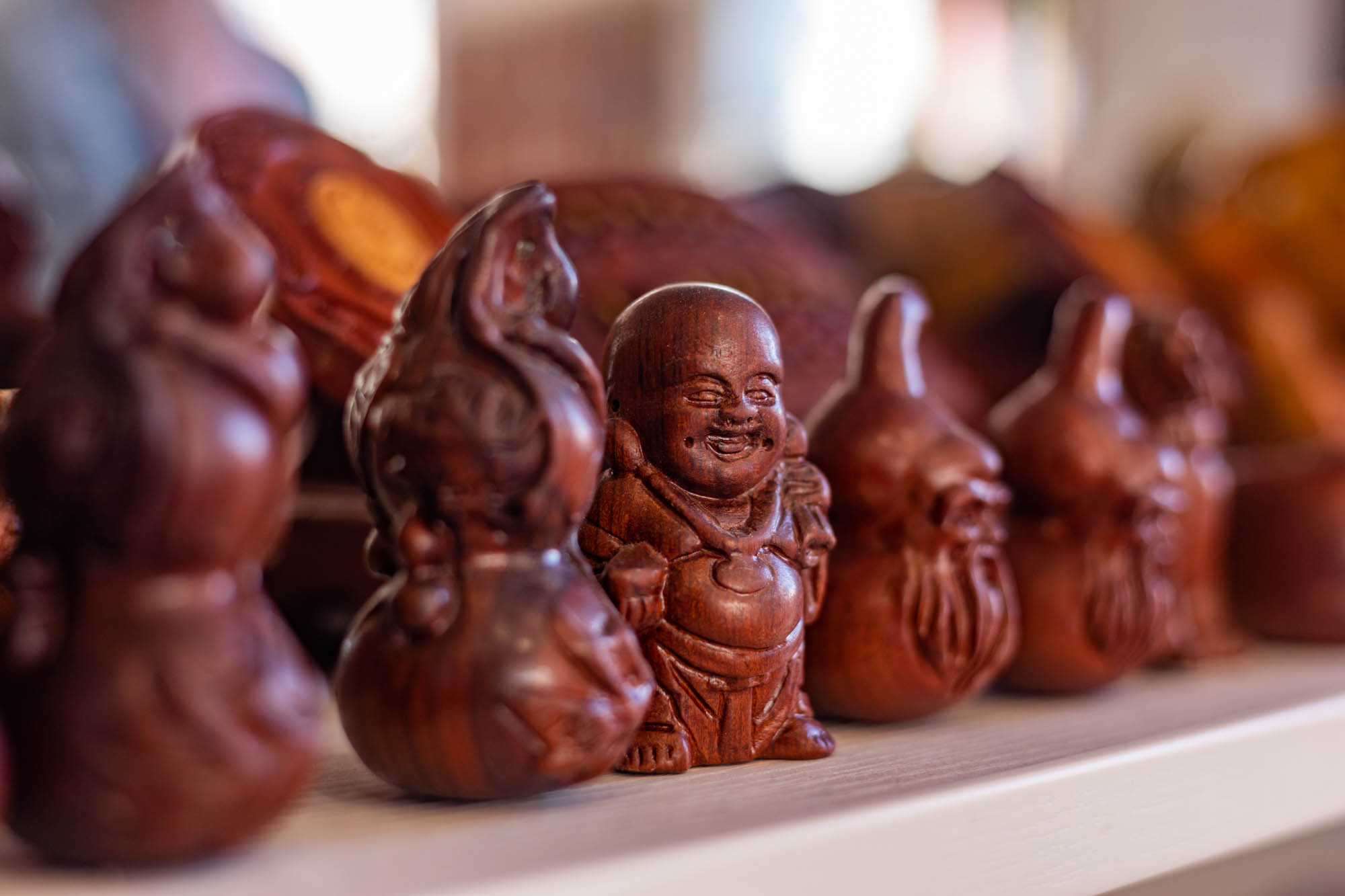 大自然的馈赠满山遍野的花,大自然的馈赠深山老林