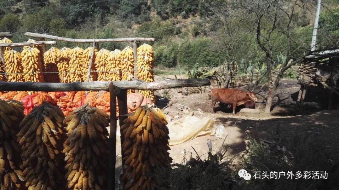 昆明十大山峰之谷堆山,昆明十峰黑风山