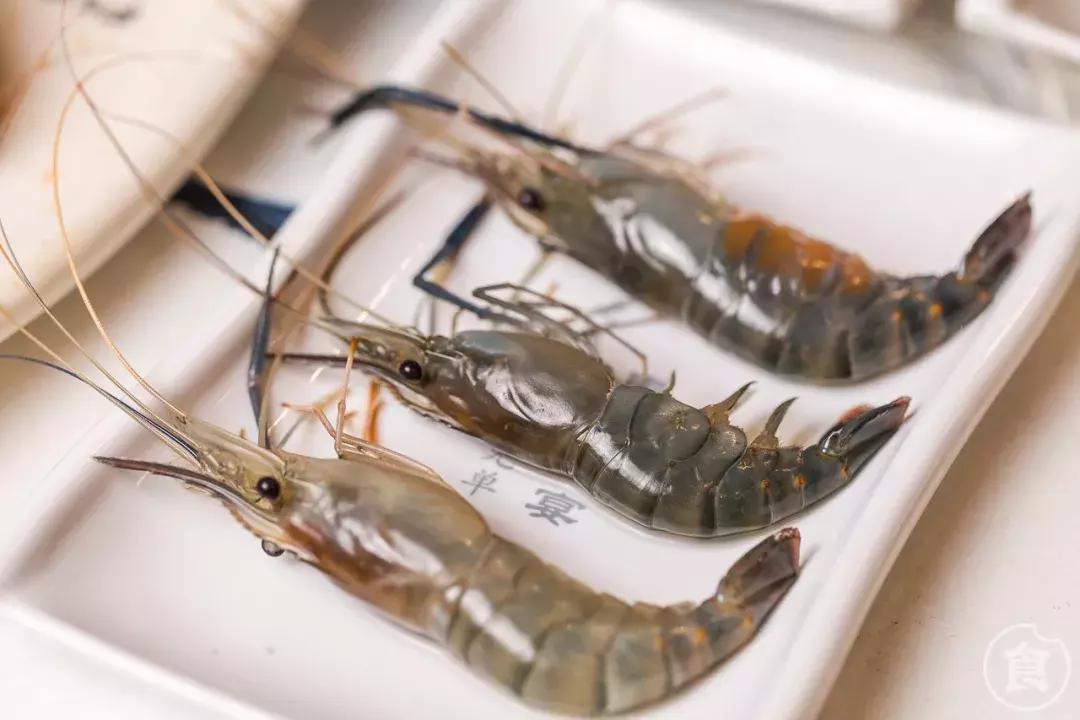 桥东爆出一锅「豪华花胶鸡」排队也要吃！还藏着一个海鲜市集