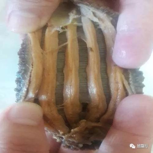 秋风起秋膘贴,秋风起贴秋膘喝羊汤