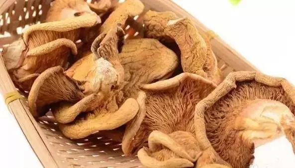 假期过后带特产回家,假期归来有好物