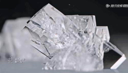 所有人都想请他来东莞拍「肉戏」