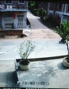 刚从后院挖出来的,大家帮我鉴定一下,我是不是要发财了?