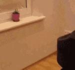 四川的一家奶茶店居然推出了新品：“N95口罩奶茶”：