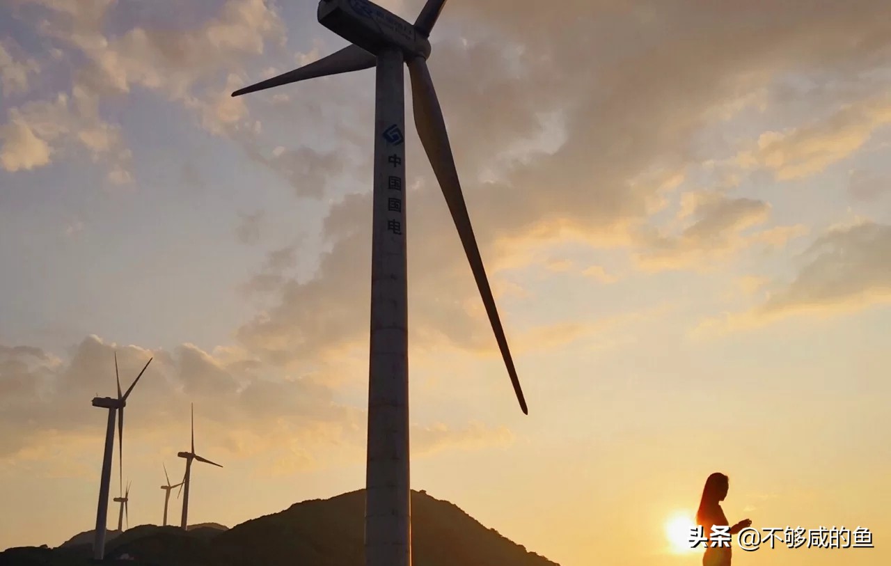 广西高峰森林公园星空露营,广西大容山森林公园露营