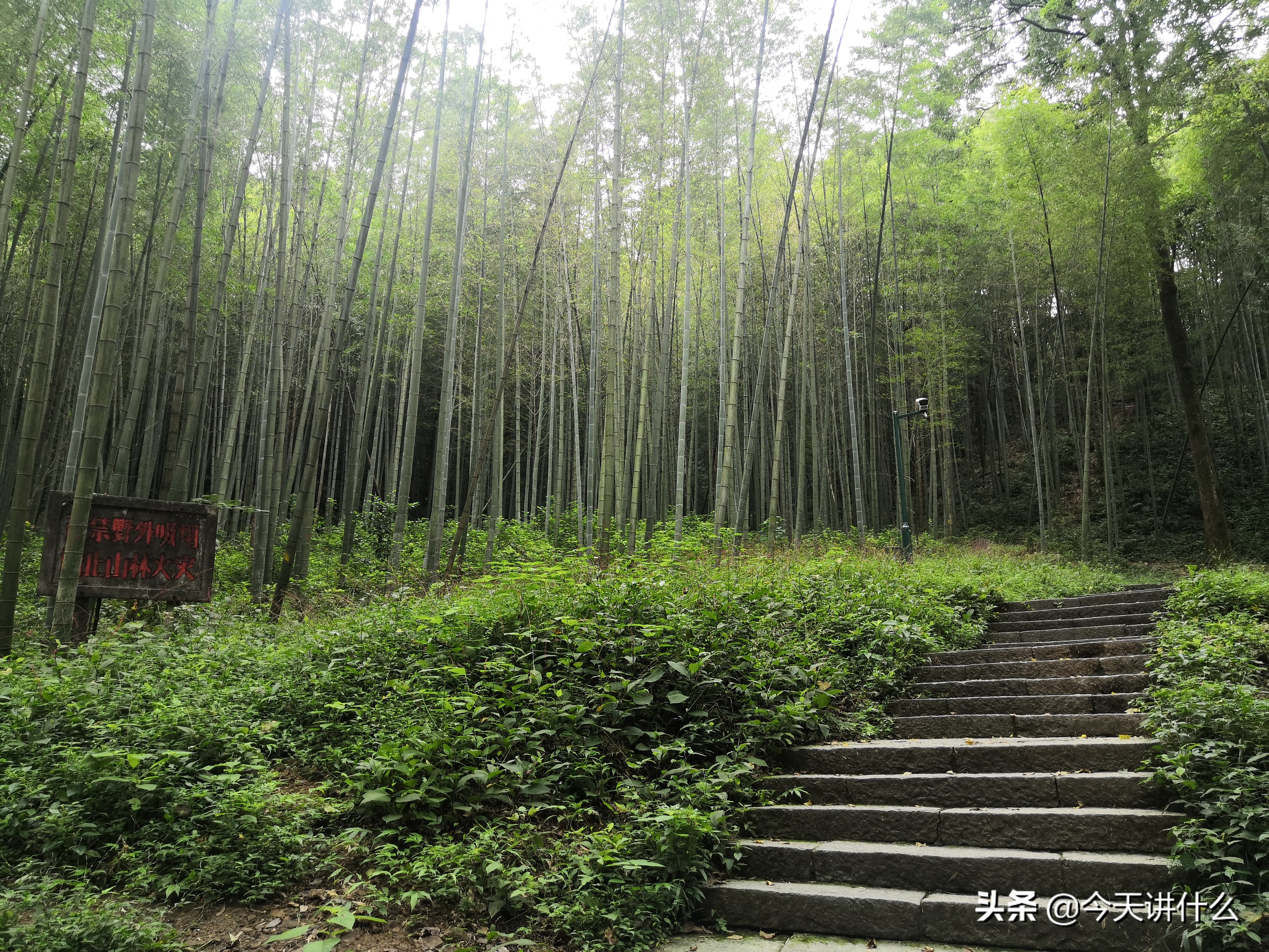 云栖竹径徒步路线图,龙坞茶村和云栖竹径