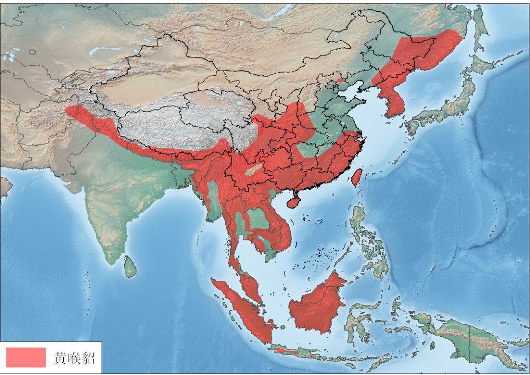 东北的貂有多好看,东北人眼里的貂