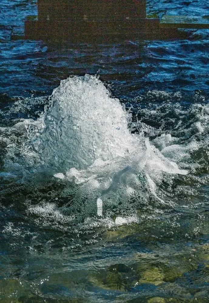 当名泉遇上曲艺，这样的济南你爱了吗？