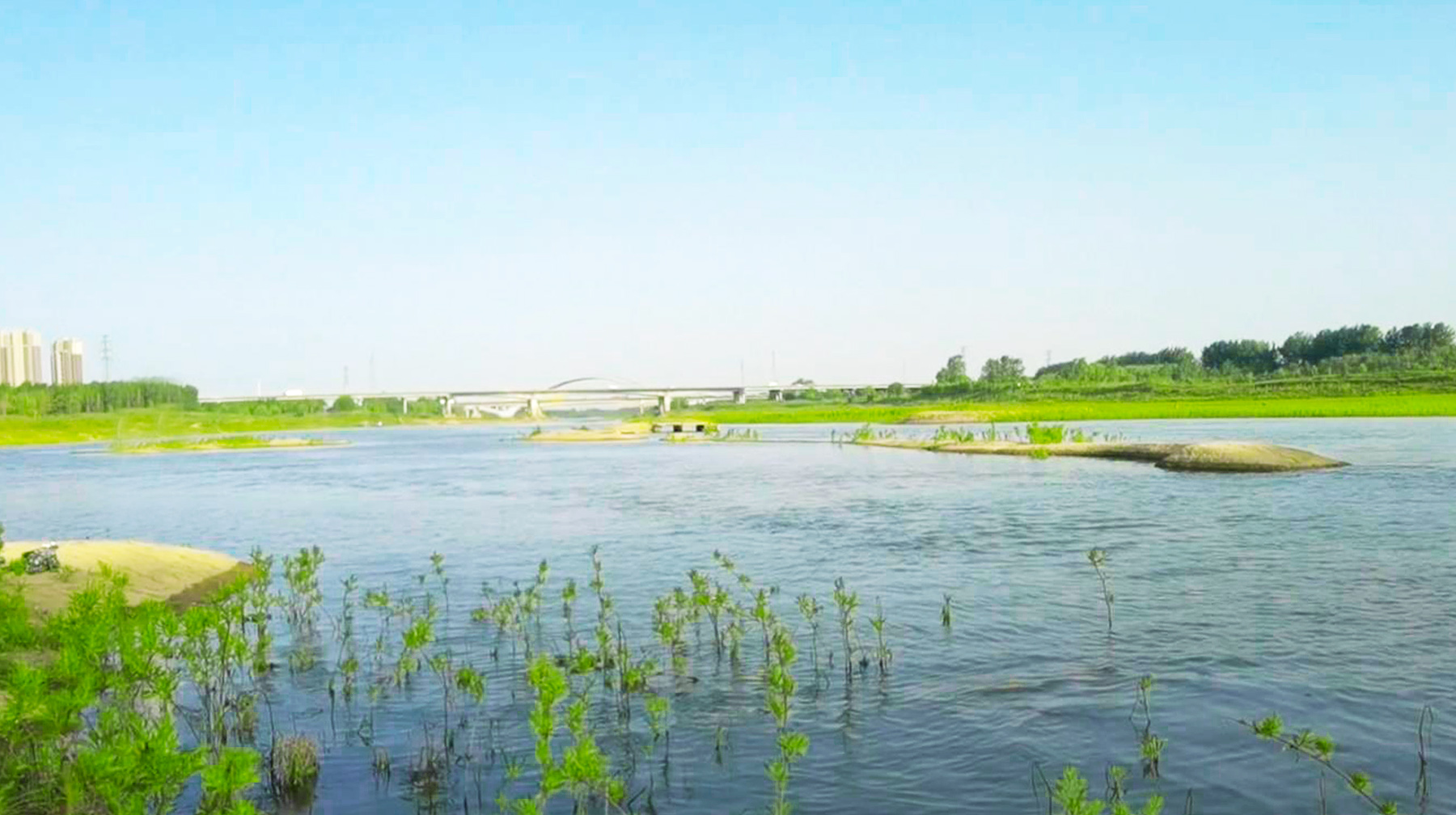 武汉长江江心惊现一条小路,武汉长江大桥下面江边