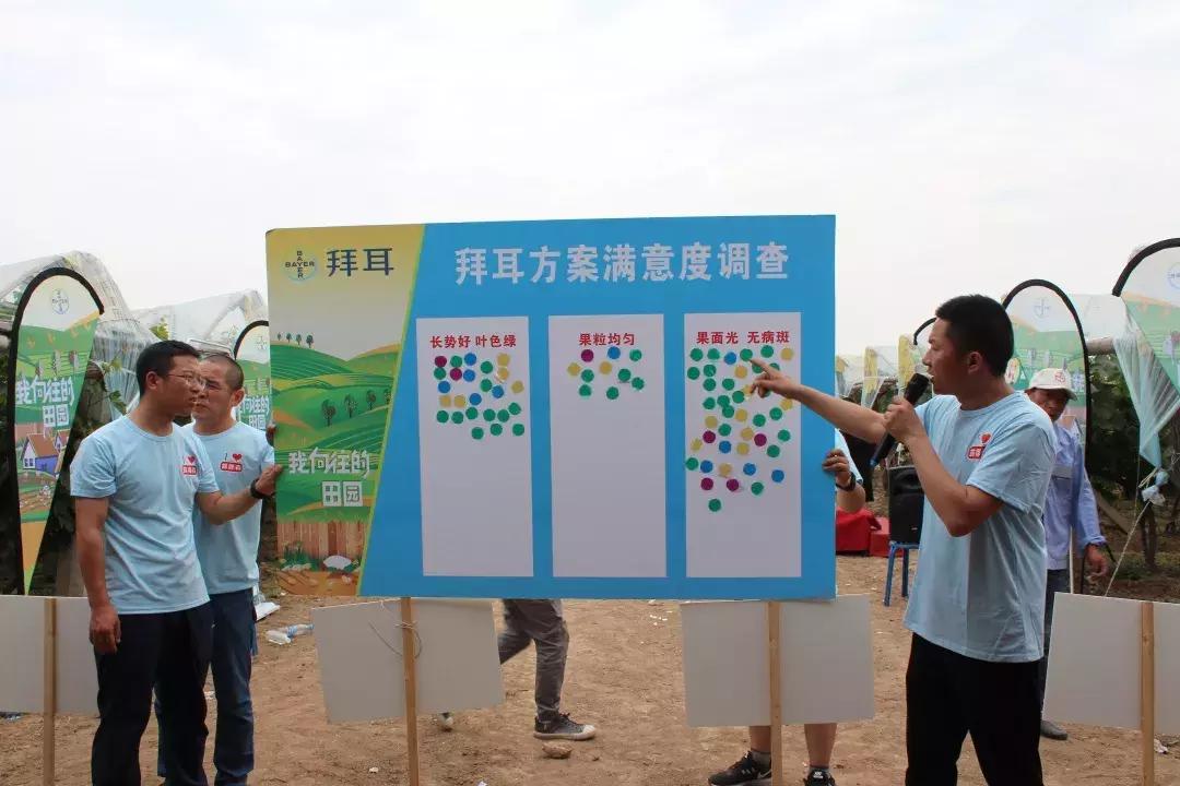 30亩葡萄园农场怎么利润最大化,10亩葡萄园一年能赚多少钱