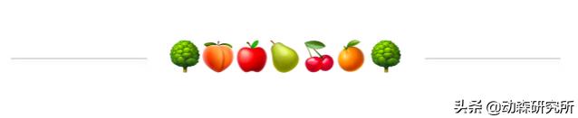 动森的npc有哪些,动森npc