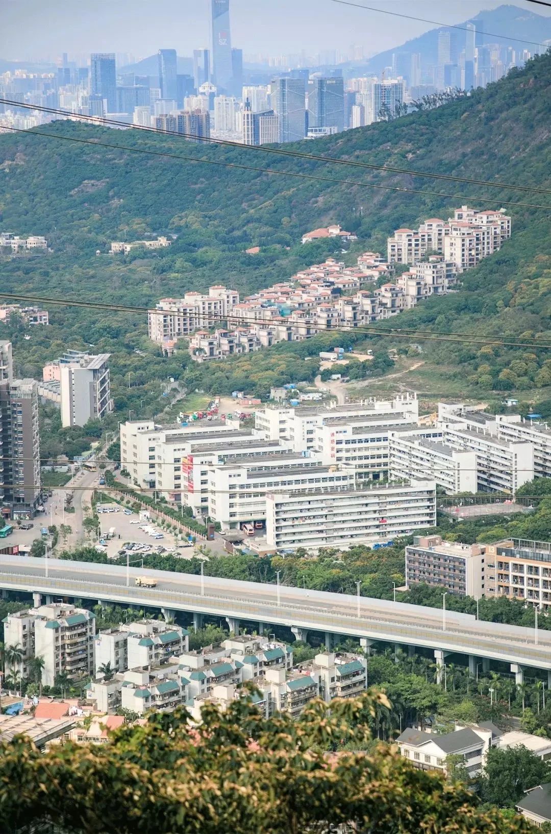 深圳二号线沿线有哪些景点游玩,深圳9号线沿途好玩的地方推荐