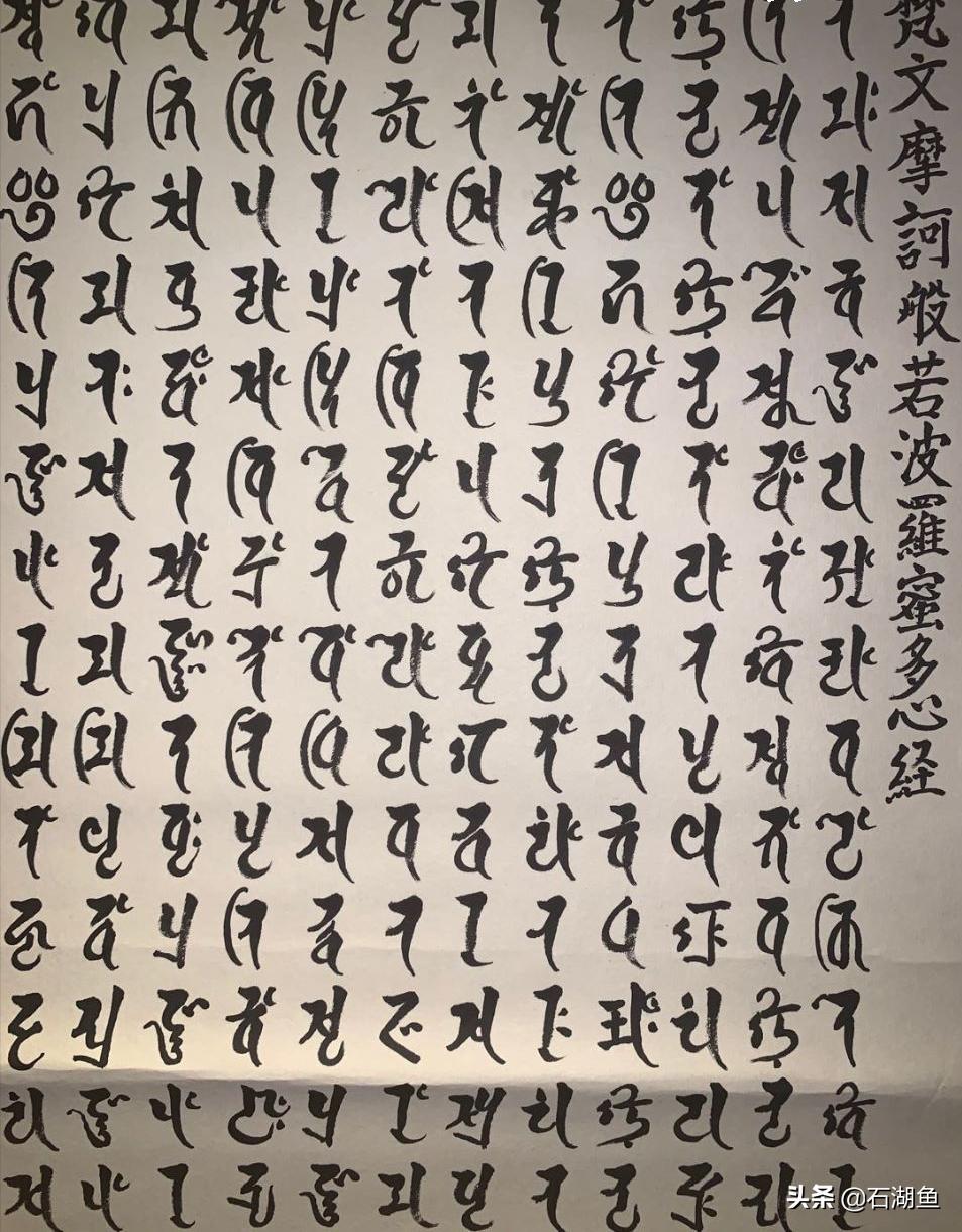 亚里士多德的墨水，致命的细节