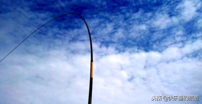 自然水域钓青鱼的最佳选位方法,野钓大青鱼最好的方法