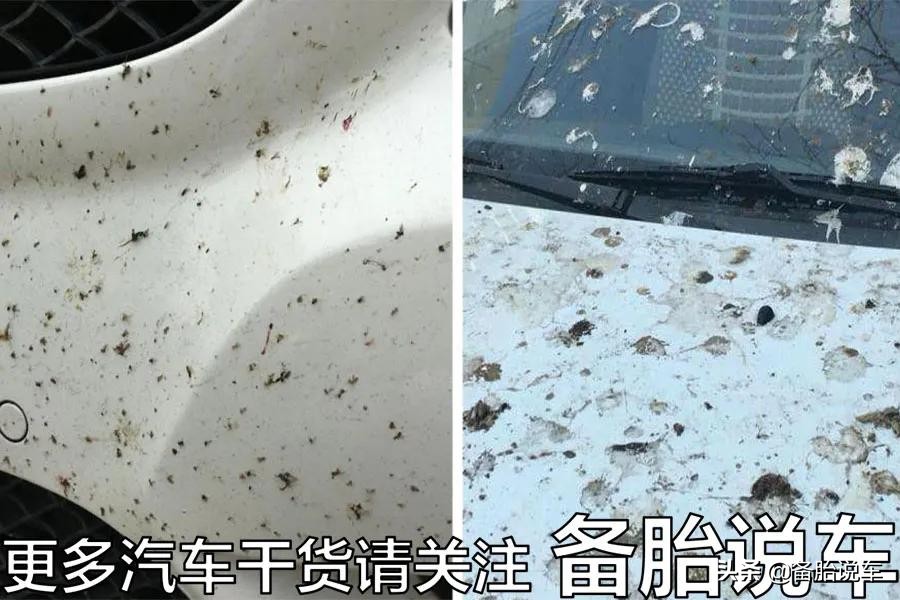 多久洗一次车不会留水痕,多久洗一次车最好图文