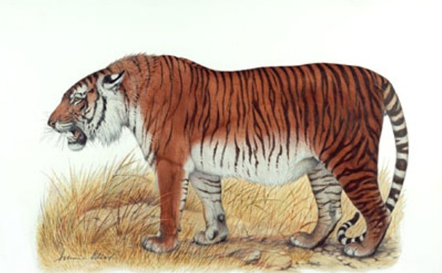 现在灭绝的物种有哪些,中国有哪些已经灭绝了的物种