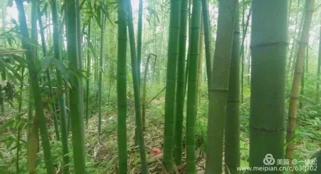 西乡周边景色美的地方,西乡哪里有夜景好看的