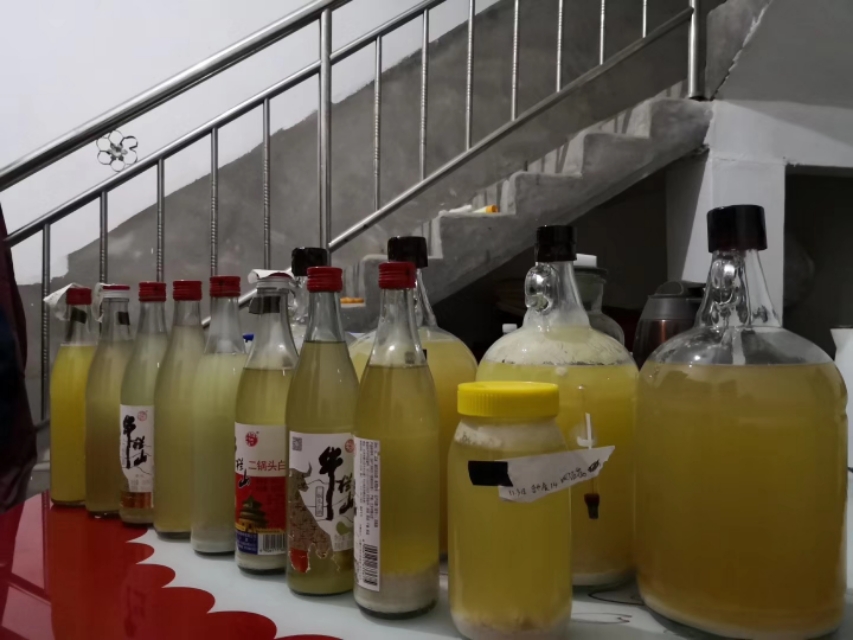 马蜂可以泡几次,马蜂特别多