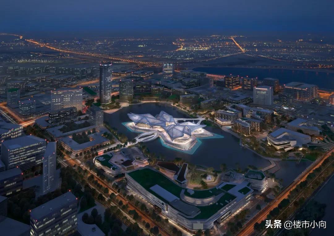 现在的珠海怎么样,为什么看好珠海