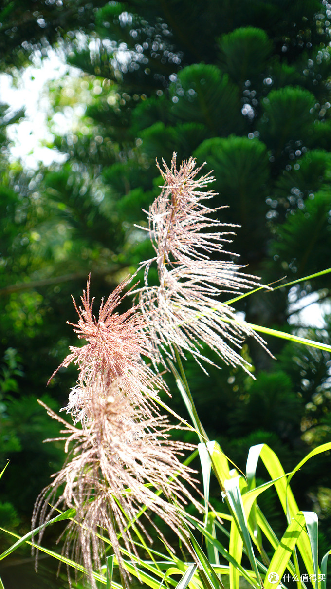 闅愪簬灞辨捣,闅愪簬灞辨捣涔嬮棿