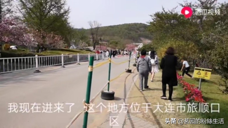 大连202路有轨电车星海公园,大连海事大学海景食堂