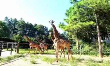 领上孩子父母一起去玩呀！长沙又一波特惠票来了！很值得一去哦