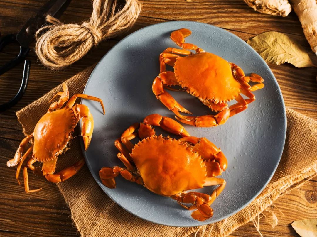 舟山特色美食之海鲜,舟山海鲜美食推荐