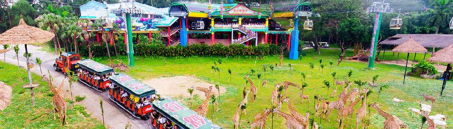 广州动物园对比下长隆野生动物园,广州长隆野生动物园必看项目介绍