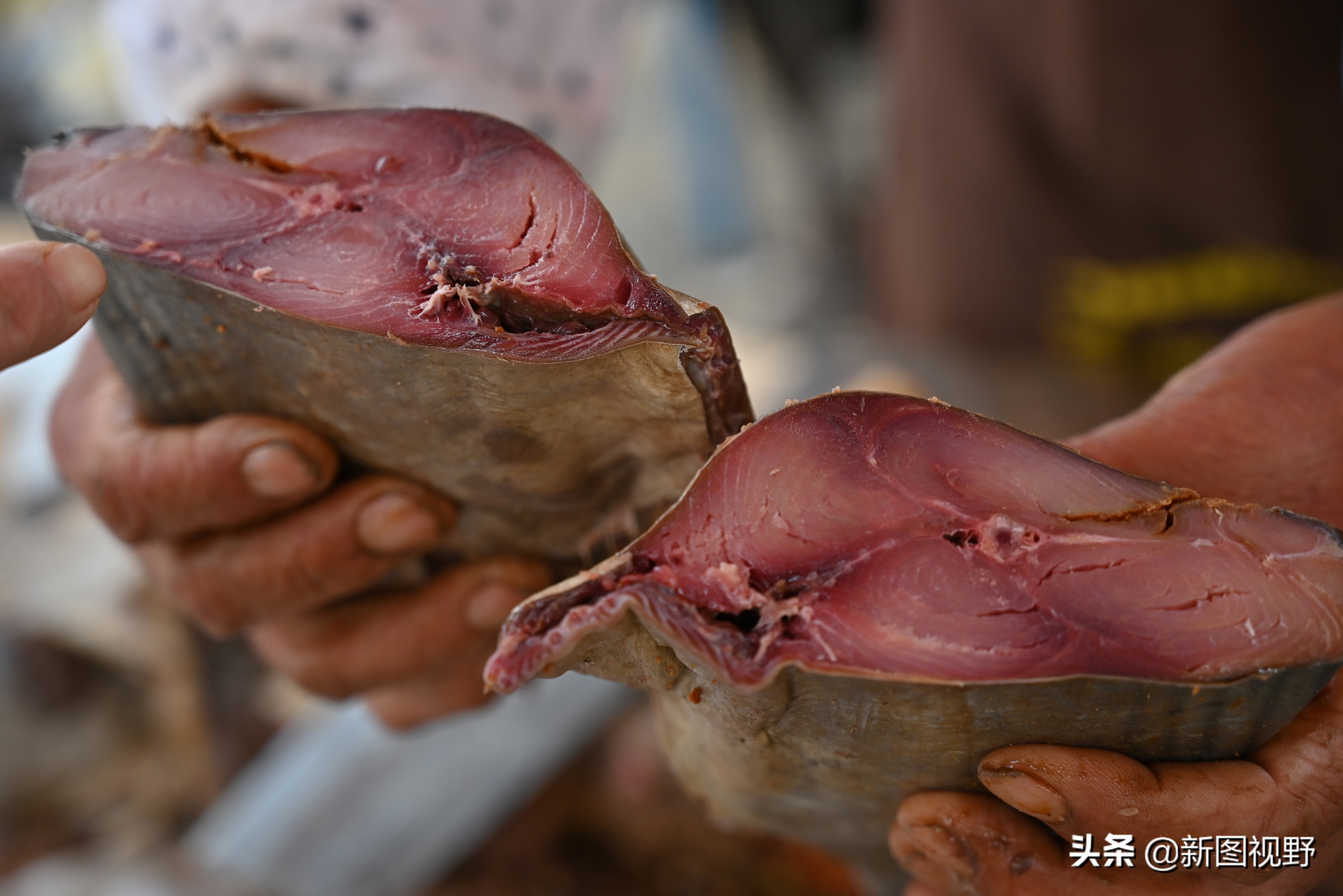 农村卖鱼夫妻,农村夫妇卖鱼视频