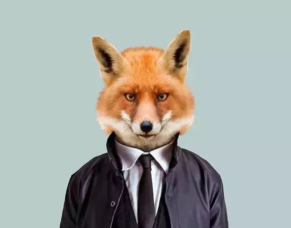 恭喜你！你被通缉啦！企鹅旅行网招人啦！