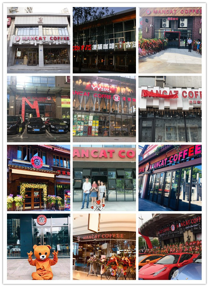 漫猫咖啡官网,咖啡品牌漫猫咖啡