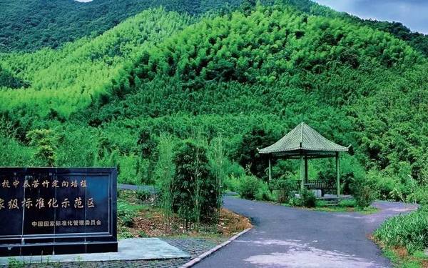 热҈热҈热҈热҈热҈!余杭超“清凉”景点集合