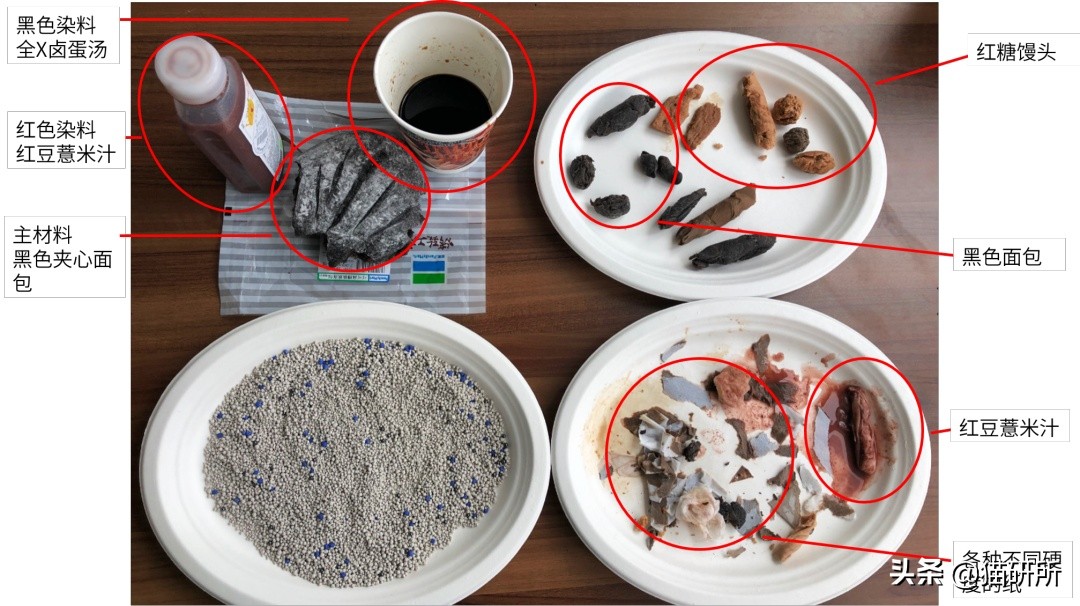 一张图了解猫咪的超能力,一张图看懂猫咪血气分析