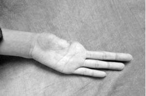 盗墓笔记中东北张家的起源,盗墓笔记张家的起源发展及衰败