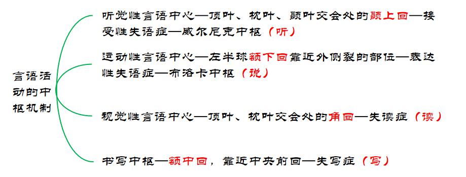 心理学培训笔记,心理咨询师发展心理学知识点归纳