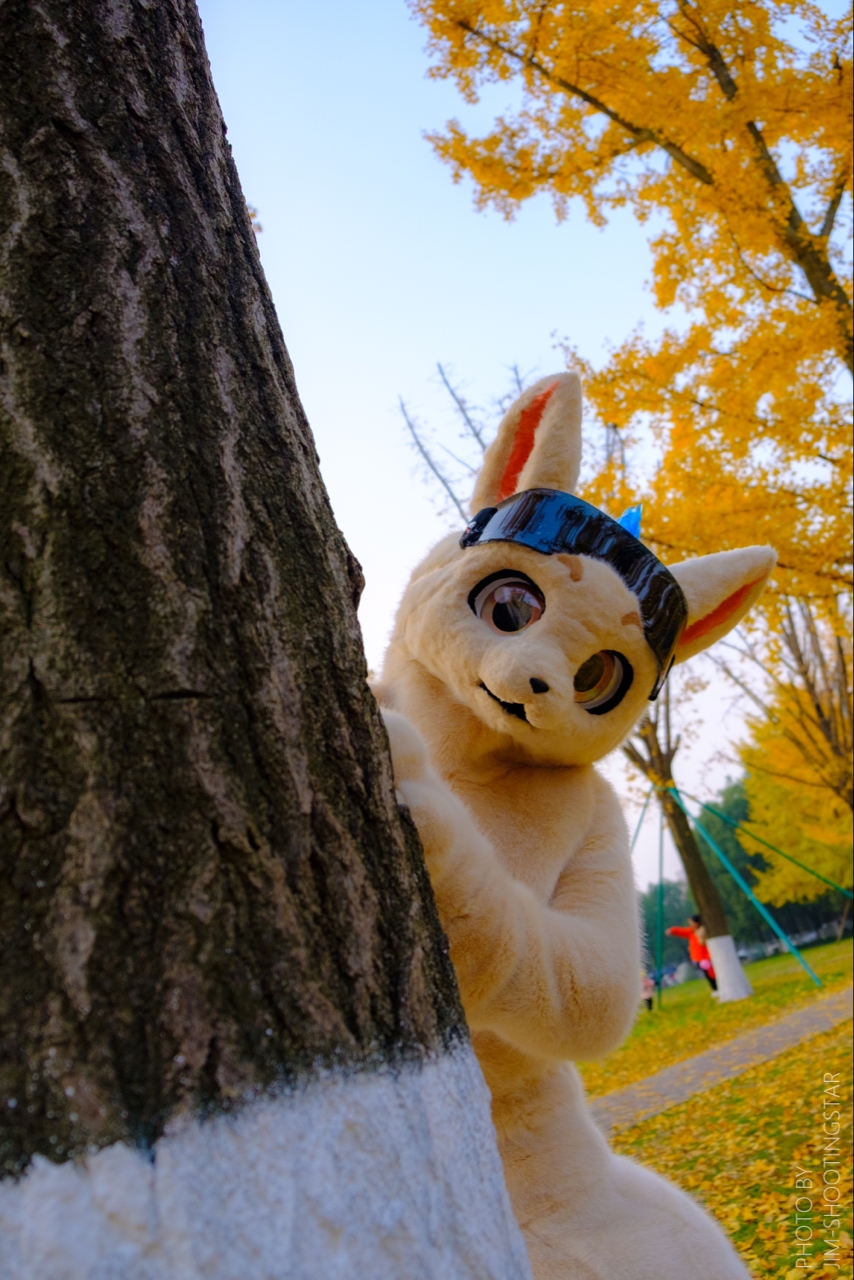 杂图系列（*男猛**系列：兽人furry第一弹）#1